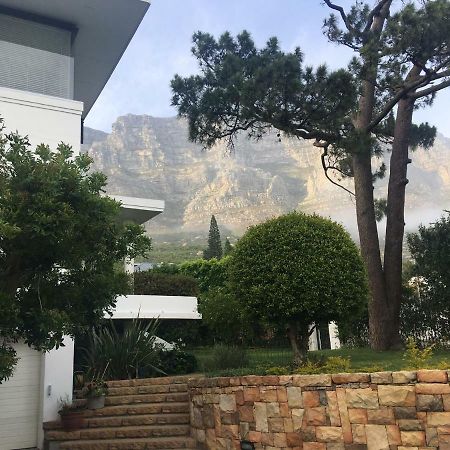 Table Mountain Guest Cottage With Private Garden Cape Town Ngoại thất bức ảnh