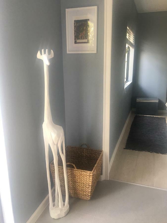 Table Mountain Guest Cottage With Private Garden Cape Town Ngoại thất bức ảnh
